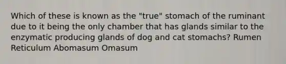 Which of these is known as the "true" stomach of the ruminant due to it being the only chamber that has glands similar to the enzymatic producing glands of dog and cat stomachs? Rumen Reticulum Abomasum Omasum