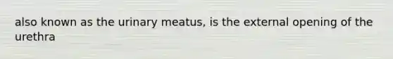 also known as the urinary meatus, is the external opening of the urethra