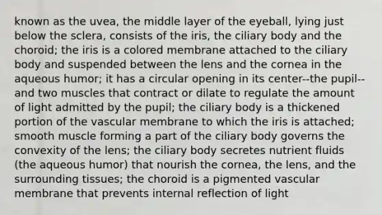 known as the uvea, the middle layer of the eyeball, lying just below the sclera, consists of the iris, the ciliary body and the choroid; the iris is a colored membrane attached to the ciliary body and suspended between the lens and the cornea in the aqueous humor; it has a circular opening in its center--the pupil--and two muscles that contract or dilate to regulate the amount of light admitted by the pupil; the ciliary body is a thickened portion of the vascular membrane to which the iris is attached; smooth muscle forming a part of the ciliary body governs the convexity of the lens; the ciliary body secretes nutrient fluids (the aqueous humor) that nourish the cornea, the lens, and the surrounding tissues; the choroid is a pigmented vascular membrane that prevents internal reflection of light