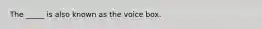 The _____ is also known as the voice box.