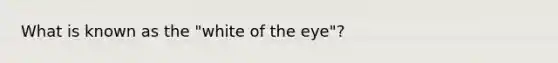 What is known as the "white of the eye"?