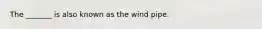 The _______ is also known as the wind pipe.