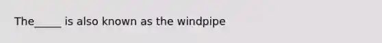 The_____ is also known as the windpipe