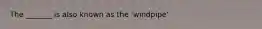 The _______ is also known as the 'windpipe'