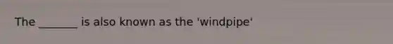 The _______ is also known as the 'windpipe'