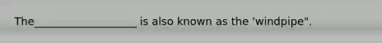 The___________________ is also known as the 'windpipe".