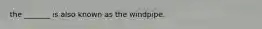 the _______ is also known as the windpipe.