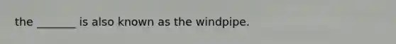 the _______ is also known as the windpipe.