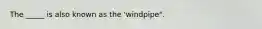 The _____ is also known as the 'windpipe".