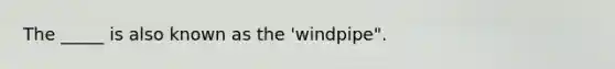 The _____ is also known as the 'windpipe".