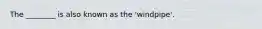 The ________ is also known as the 'windpipe'.