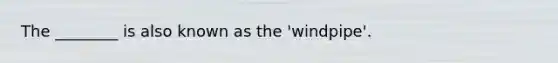 The ________ is also known as the 'windpipe'.