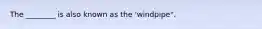 The ________ is also known as the 'windpipe".