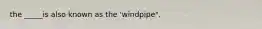 the _____is also known as the 'windpipe".