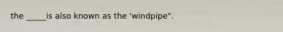 the _____is also known as the 'windpipe".