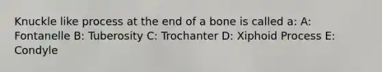 Knuckle like process at the end of a bone is called a: A: Fontanelle B: Tuberosity C: Trochanter D: Xiphoid Process E: Condyle