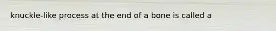 knuckle-like process at the end of a bone is called a