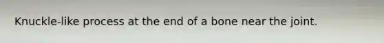 Knuckle-like process at the end of a bone near the joint.
