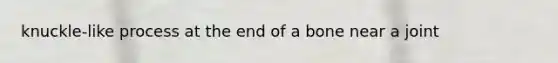knuckle-like process at the end of a bone near a joint