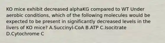 KO mice exhibit decreased alphaKG compared to WT Under aerobic conditions, which of the following molecules would be expected to be present in significantly decreased levels in the livers of KO mice? A.Succinyl-CoA B.ATP C.Isocitrate D.Cytochrome C