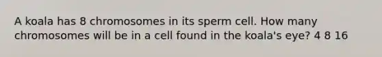 A koala has 8 chromosomes in its sperm cell. How many chromosomes will be in a cell found in the koala's eye? 4 8 16