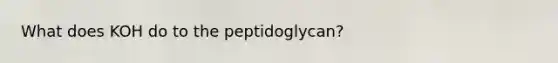 What does KOH do to the peptidoglycan?