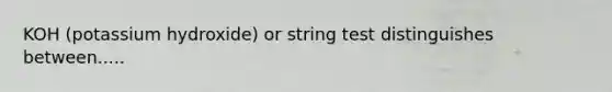 KOH (potassium hydroxide) or string test distinguishes between.....