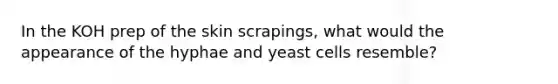 In the KOH prep of the skin scrapings, what would the appearance of the hyphae and yeast cells resemble?