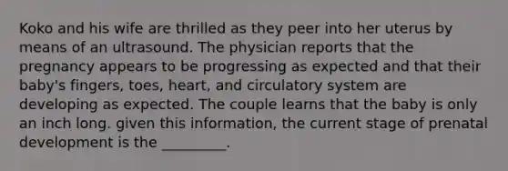 Koko and his wife are thrilled as they peer into her uterus by means of an ultrasound. The physician reports that the pregnancy appears to be progressing as expected and that their baby's fingers, toes, heart, and circulatory system are developing as expected. The couple learns that the baby is only an inch long. given this information, the current stage of prenatal development is the _________.