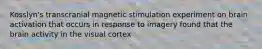 Kosslyn's transcranial magnetic stimulation experiment on brain activation that occurs in response to imagery found that the brain activity in the visual cortex