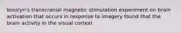 kosslyn's transcranial magnetic stimulation experiment on brain activation that occurs in response to imagery found that the brain activity in the visual cortext