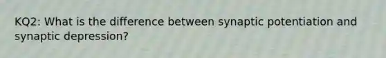 KQ2: What is the difference between synaptic potentiation and synaptic depression?