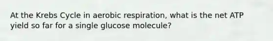 At the Krebs Cycle in aerobic respiration, what is the net ATP yield so far for a single glucose molecule?