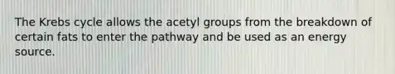 The Krebs cycle allows the acetyl groups from the breakdown of certain fats to enter the pathway and be used as an energy source.