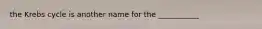 the Krebs cycle is another name for the ___________