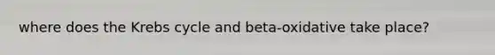 where does the Krebs cycle and beta-oxidative take place?