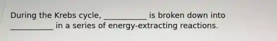 During the <a href='https://www.questionai.com/knowledge/kqfW58SNl2-krebs-cycle' class='anchor-knowledge'>krebs cycle</a>, ___________ is broken down into ___________ in a series of energy-extracting reactions.