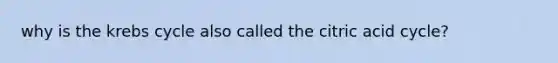 why is the krebs cycle also called the citric acid cycle?