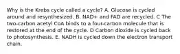 Why is the Krebs cycle called a cycle? A. Glucose is cycled around and resynthesized. B. NAD+ and FAD are recycled. C The two-carbon acetyl CoA binds to a four-carbon molecule that is restored at the end of the cycle. D Carbon dioxide is cycled back to photosynthesis. E. NADH is cycled down the electron transport chain.