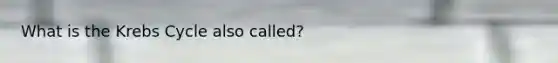 What is the <a href='https://www.questionai.com/knowledge/kqfW58SNl2-krebs-cycle' class='anchor-knowledge'>krebs cycle</a> also called?