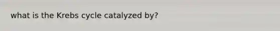 what is the Krebs cycle catalyzed by?