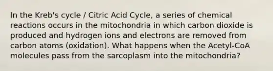 In the Kreb's cycle / Citric Acid Cycle, a series of <a href='https://www.questionai.com/knowledge/kc6NTom4Ep-chemical-reactions' class='anchor-knowledge'>chemical reactions</a> occurs in the mitochondria in which carbon dioxide is produced and hydrogen ions and electrons are removed from carbon atoms (oxidation). What happens when the Acetyl-CoA molecules pass from the sarcoplasm into the mitochondria?