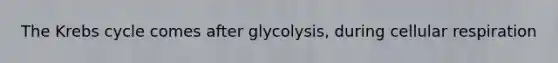 The Krebs cycle comes after glycolysis, during cellular respiration