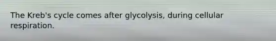 The Kreb's cycle comes after glycolysis, during cellular respiration.