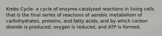 Krebs Cycle- a cycle of enzyme-catalyzed reactions in living cells that is the final series of reactions of aerobic metabolism of carbohydrates, proteins, and fatty acids, and by which carbon dioxide is produced, oxygen is reduced, and ATP is formed.