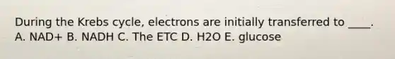 During the <a href='https://www.questionai.com/knowledge/kqfW58SNl2-krebs-cycle' class='anchor-knowledge'>krebs cycle</a>, electrons are initially transferred to ____. A. NAD+ B. NADH C. The ETC D. H2O E. glucose