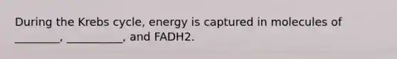 During the Krebs cycle, energy is captured in molecules of ________, __________, and FADH2.