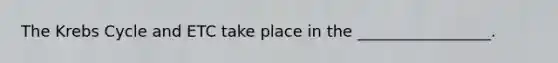 The Krebs Cycle and ETC take place in the _________________.