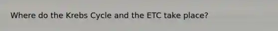 Where do the Krebs Cycle and the ETC take place?