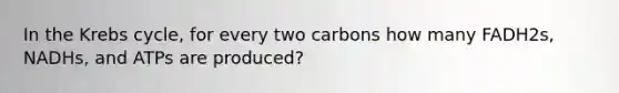 In the Krebs cycle, for every two carbons how many FADH2s, NADHs, and ATPs are produced?